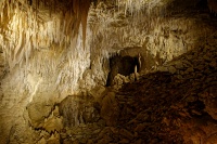 NZ Waitomo caves 9235